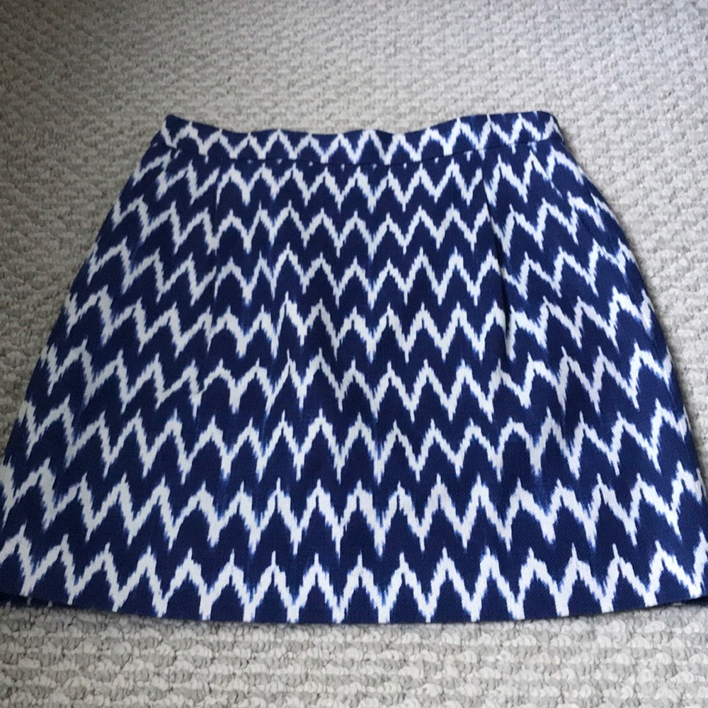 J. Crew Skirt 00